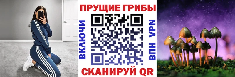 Галлюциногенные грибы мухоморы  где продают   Карабулак 