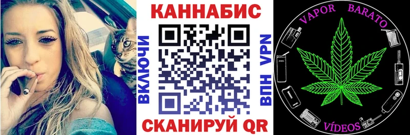Конопля гибрид  Карабулак 